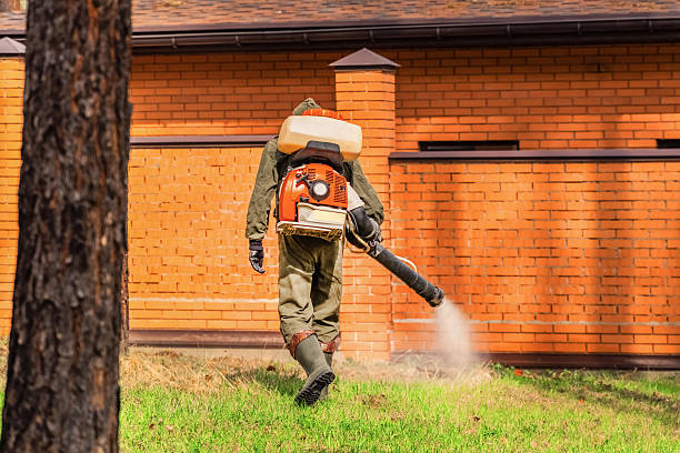 Top rated local Bed Bug Control specialists in Grandview, IL